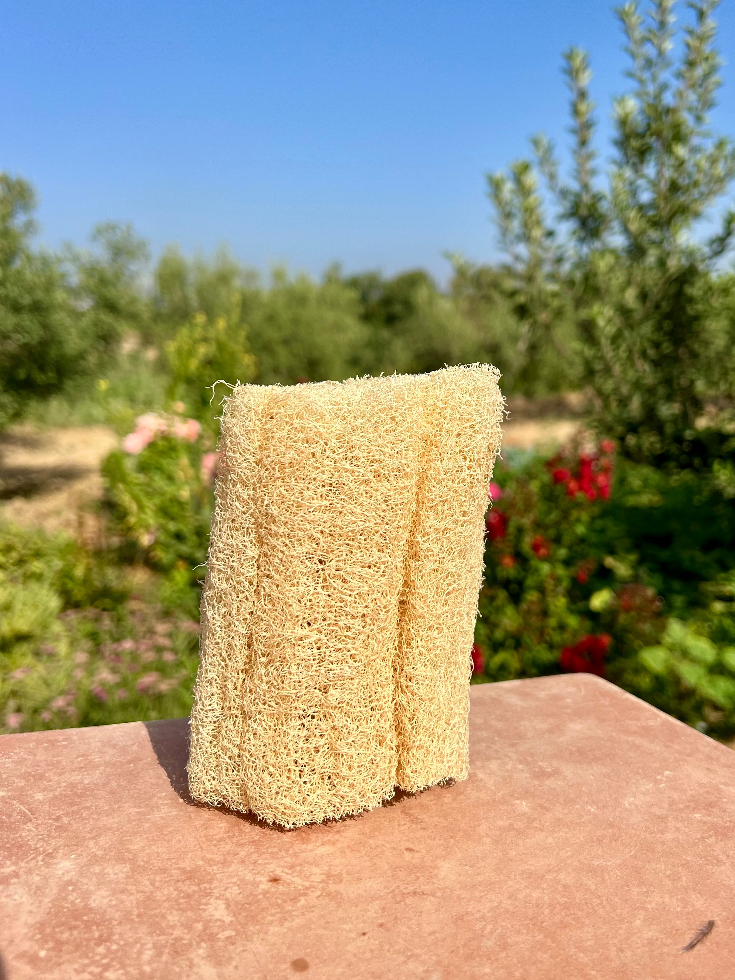 ESPONJA VEGETAL NATURAL "LUFA EXFOLIANT"