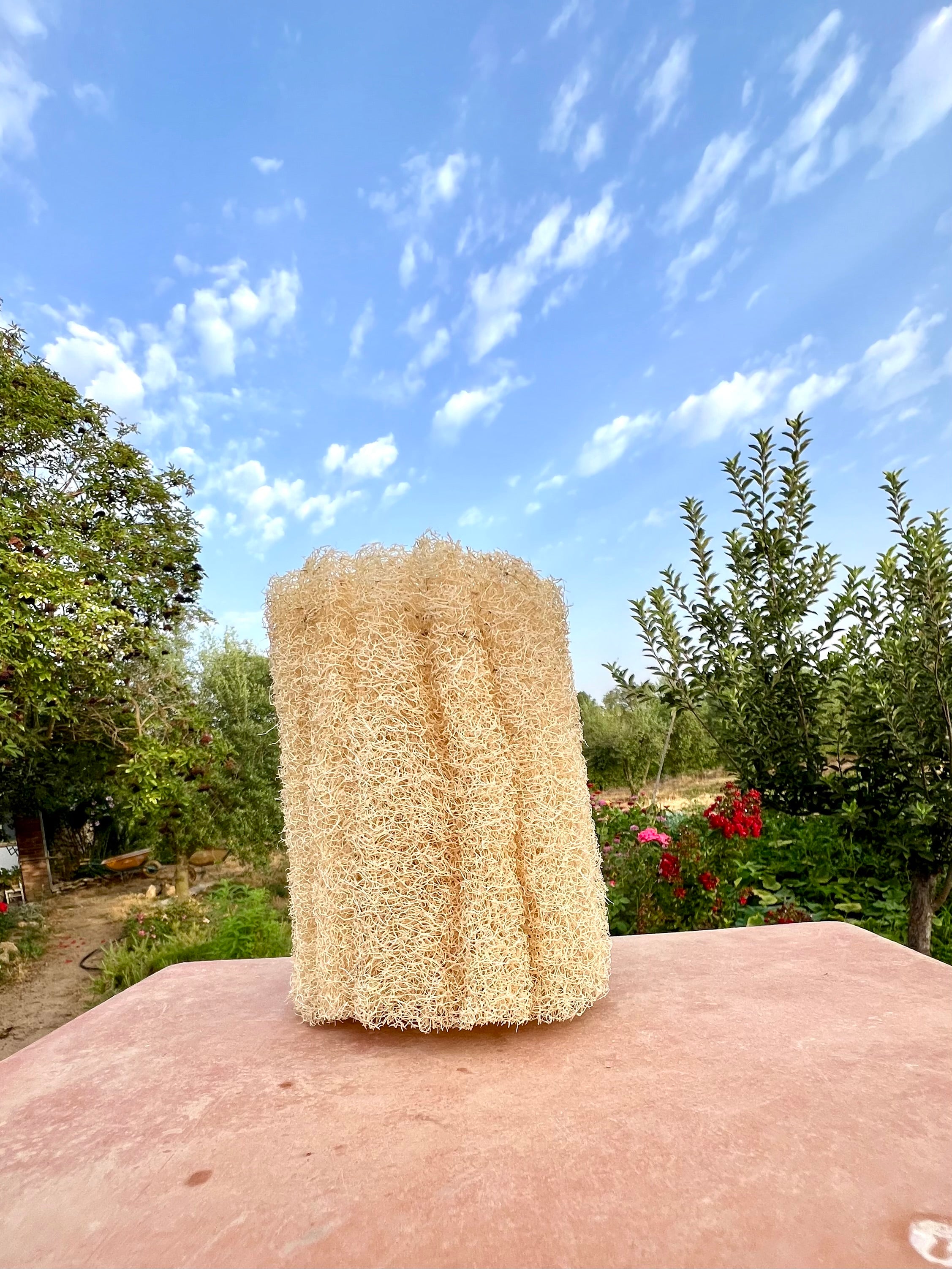ESPONJA VEGETAL NATURAL "LUFA EXFOLIANT"