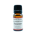 ACEITE ESENCIAL INCIENSO