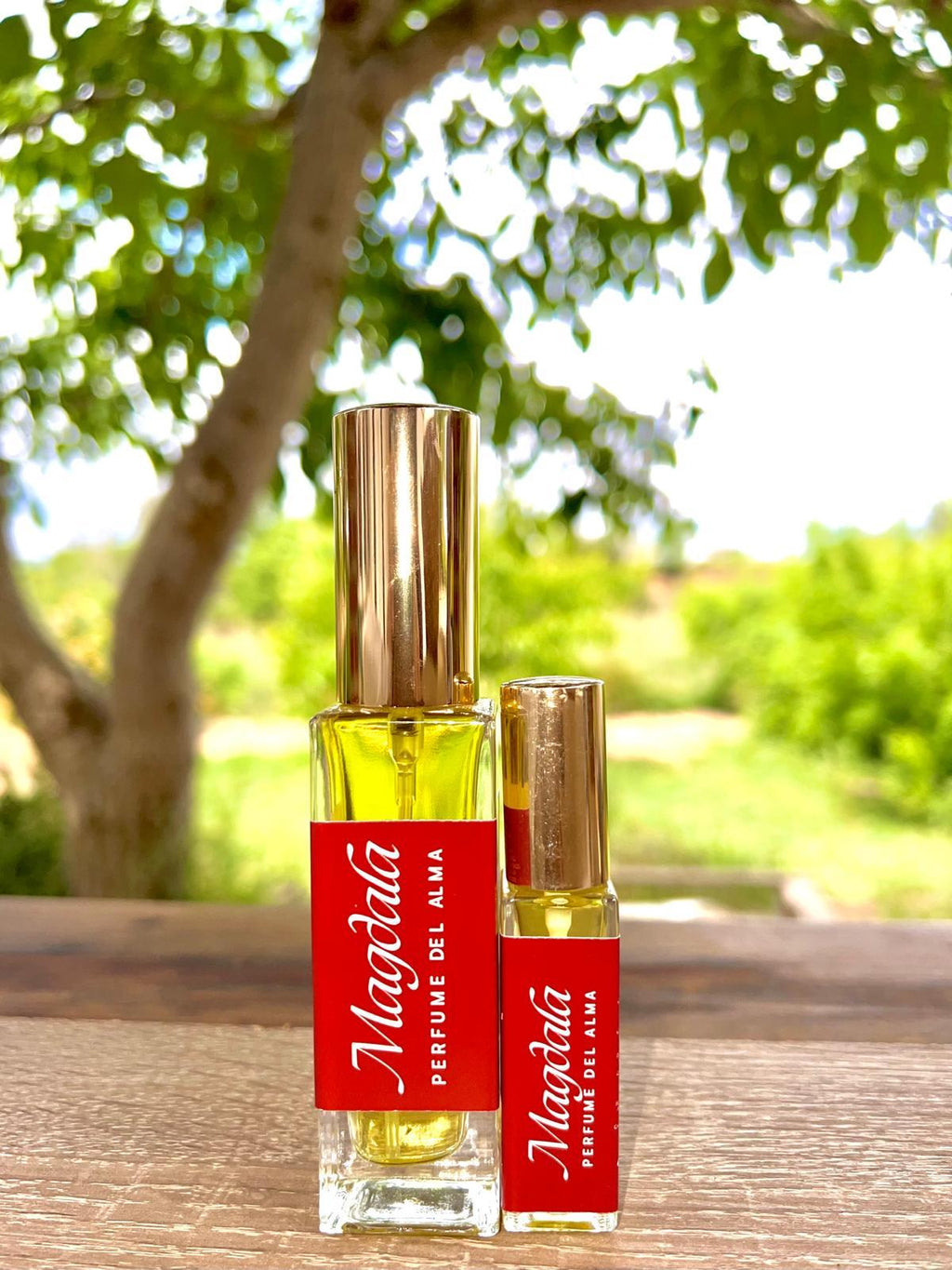 MAGDALA PERFUM DE L'ÀNIMA