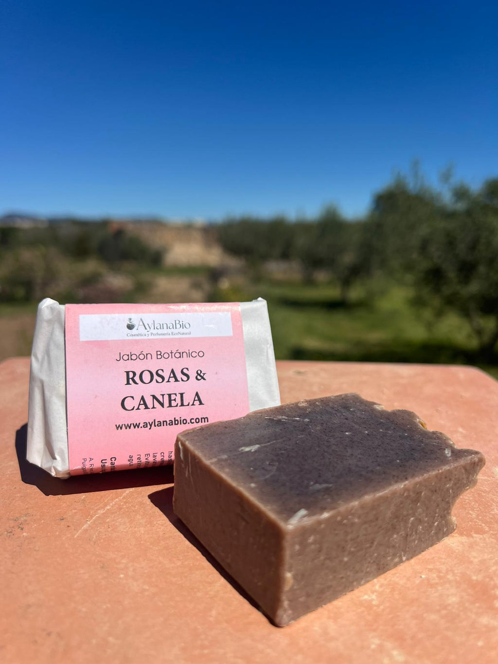 SABÓ BOTÀNIC DE ROSA MOSQUETA I CANELLA 100gr.